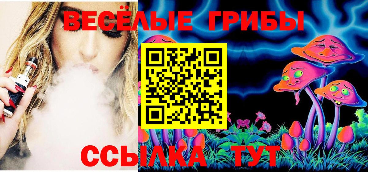 Куйбышев  Псилоцибиновые грибы Magic Shrooms  Вход с VPN 
